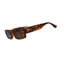 Off-White Nassau Sunglasses Havana/Dark Green